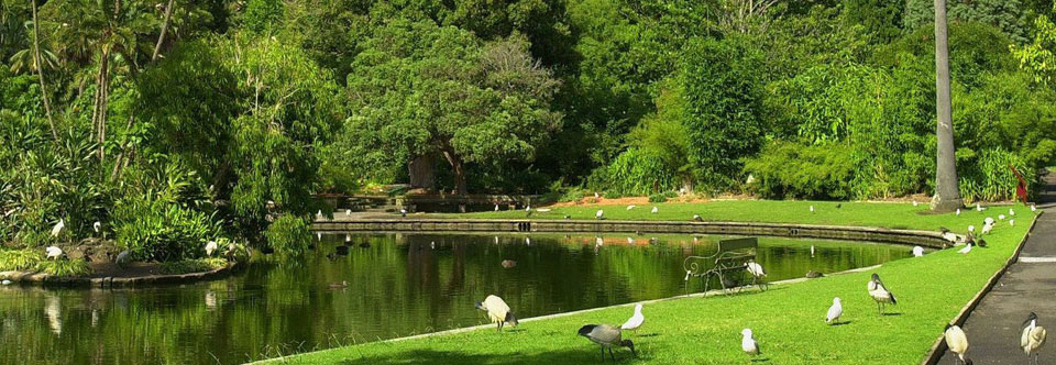 A calm centre in the midst of substantial corporate dealings